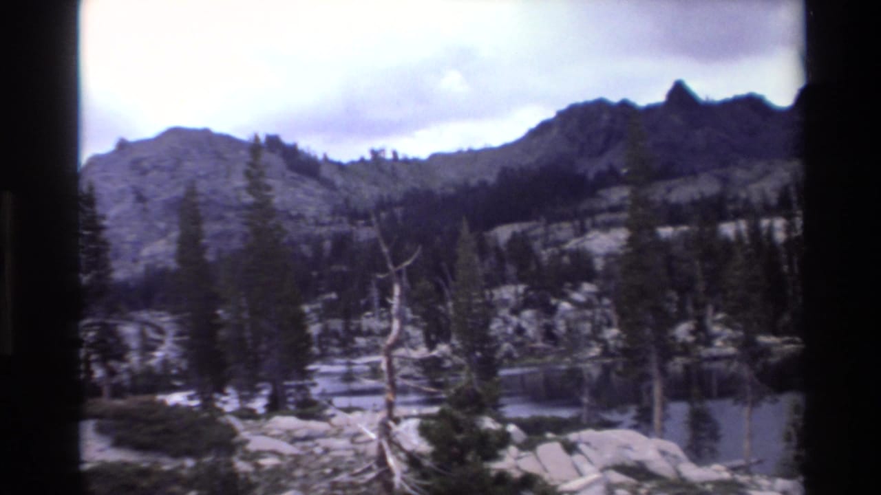 8mm film frame of rocky alpine terrain with a prominent dead pine snag, living conifers, granite boulders, and a mountain ridgeline under cloudy sky.