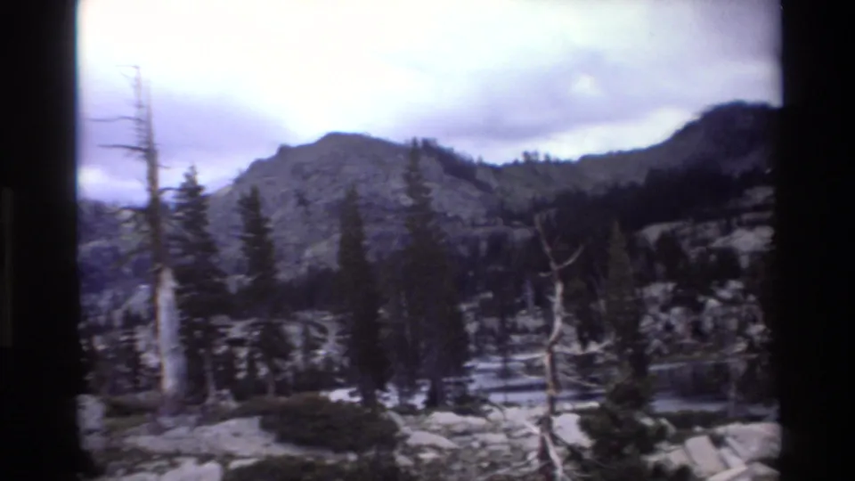 8mm home movie frame circa 1980 with characteristic cool-purple color shift, showing dead snag trees, subalpine conifers, rocky terrain, and mountain slopes under heavy cloud cover.