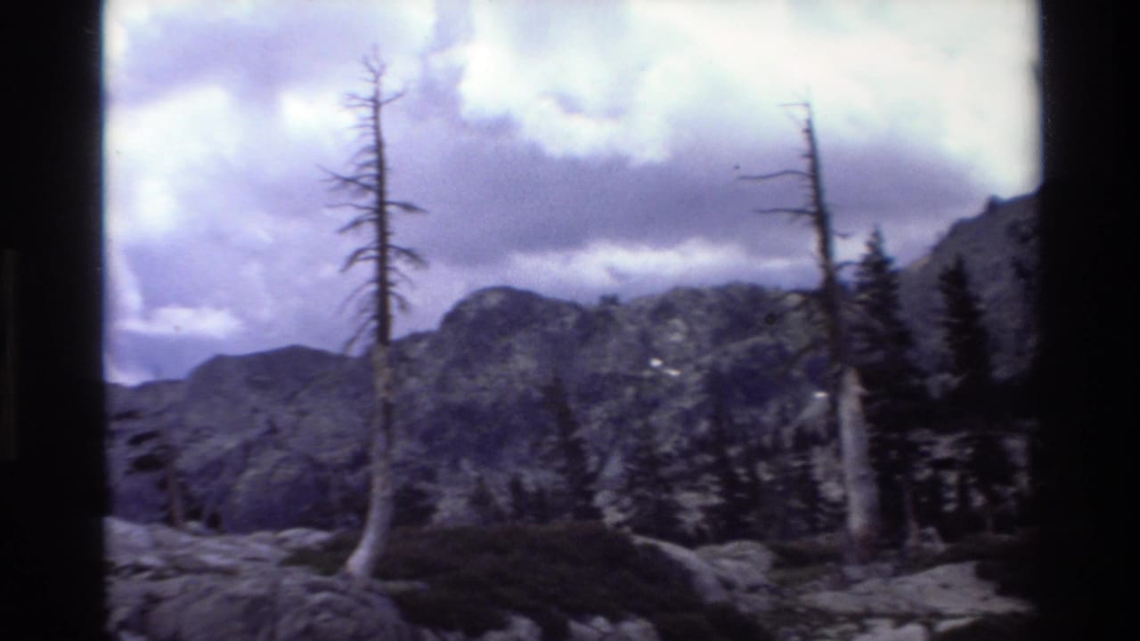 Similar mountain landscape slightly reframed, bare dead trees prominent against rocky peaks and cloudy sky; 8mm color fading visible.