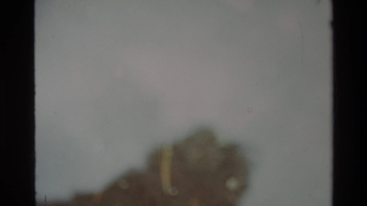 8mm frame of the same unidentified dark organic form against pale overcast background with slight camera drift, Big Sur area, circa 1980.