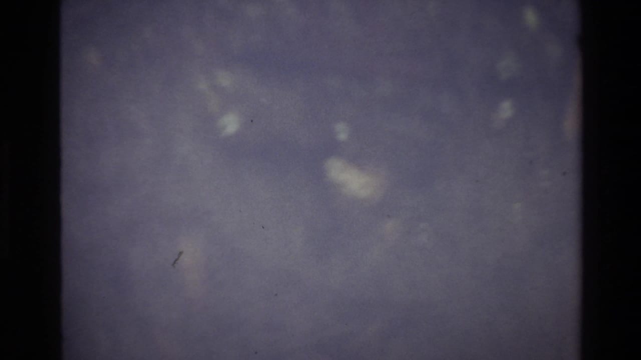 Out-of-focus 8mm frame with blue-lavender color cast and faint scattered white shapes — camera still resolving.