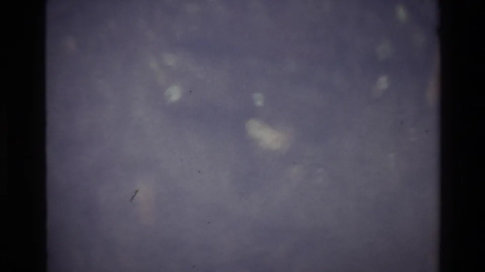 Abstract blurred 8mm frame, circa 1980, with a blue-purple color cast and scattered light blobs as the camera continues to find focus.