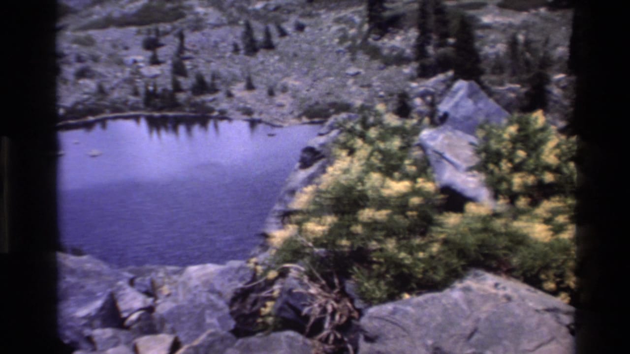 Small alpine pond surrounded by granite boulders and yellow wildflowers, from 1980s 8mm footage attributed to Big Sur, California.