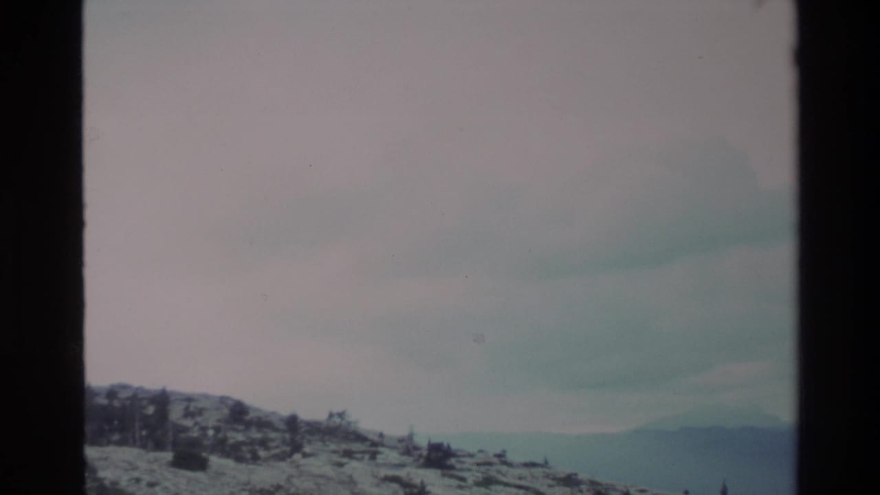 Snow-dusted ridge with scattered conifers and distant hills under a pale gray sky, 8mm film.