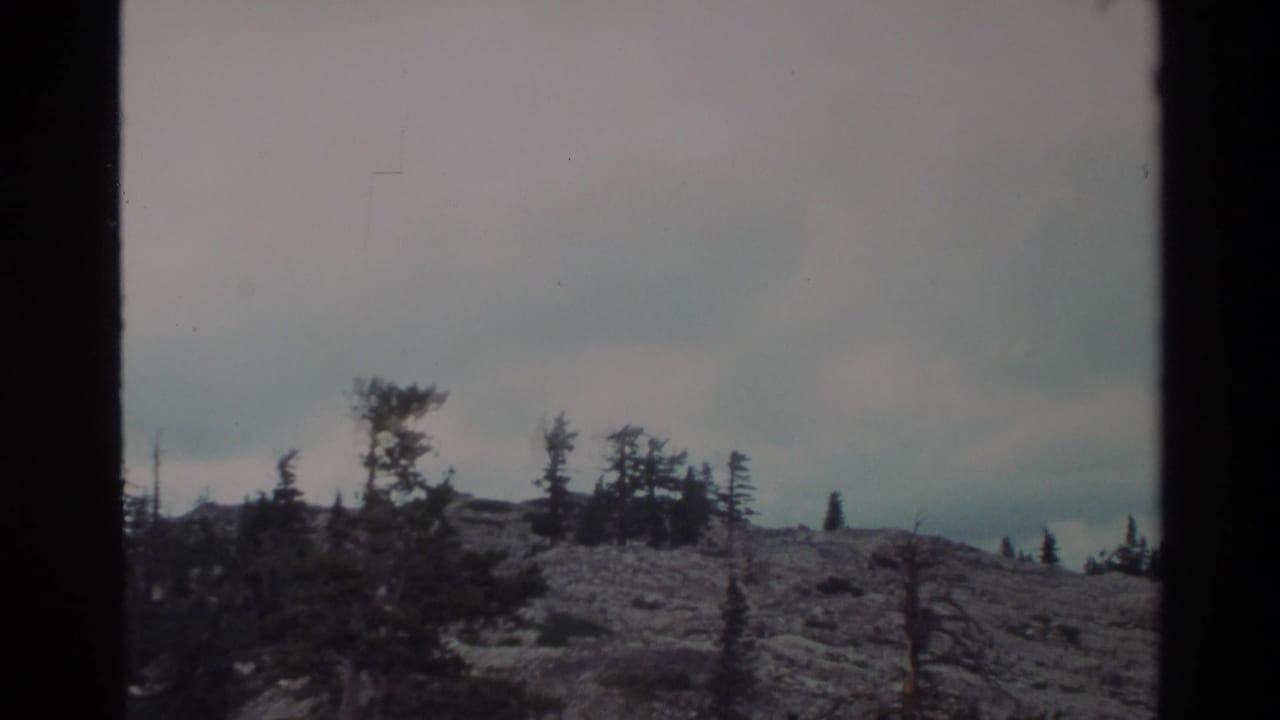 Rocky barren ridgeline with windswept sparse conifers silhouetted against a flat overcast sky.