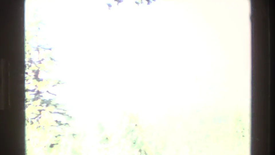 Bright overexposed outdoor landscape with trees and distant hillside forms in the Big Sur clip.