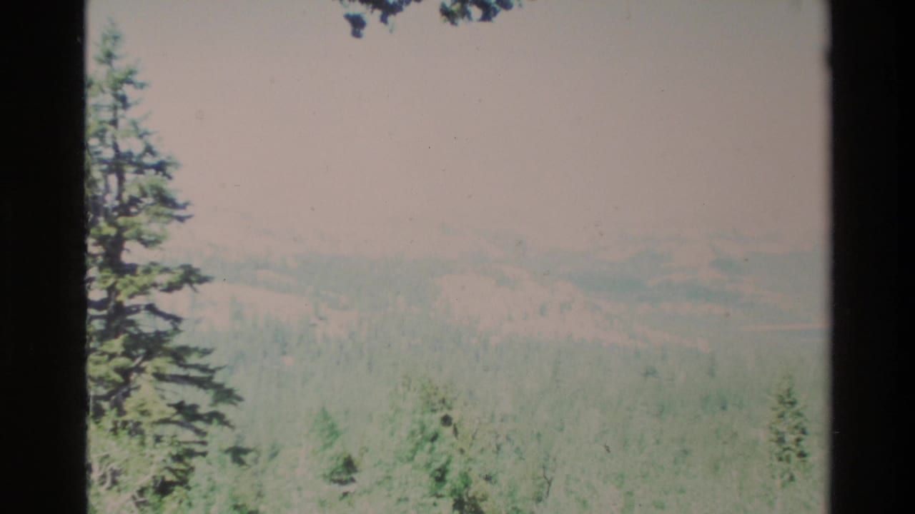 1980 Big Sur home-movie frame showing pale sky, distant wooded hills, conifers, and dark film gate edges.