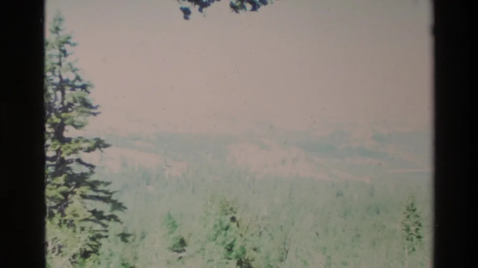 1980 Big Sur home-movie frame showing pale sky, distant wooded hills, conifers, and dark film gate edges.