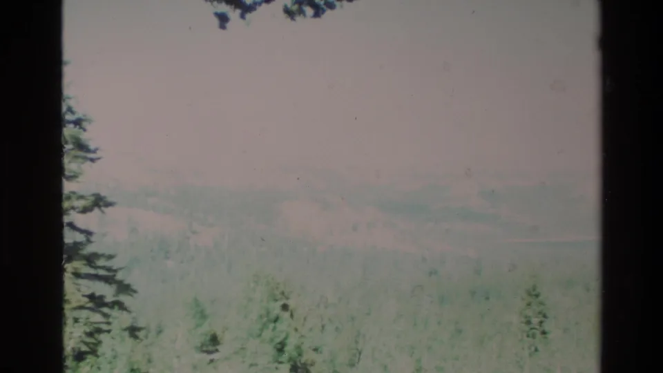 1980 Big Sur 8mm frame with distant rolling hills, pale sky, forest canopy, and overhanging branches.
