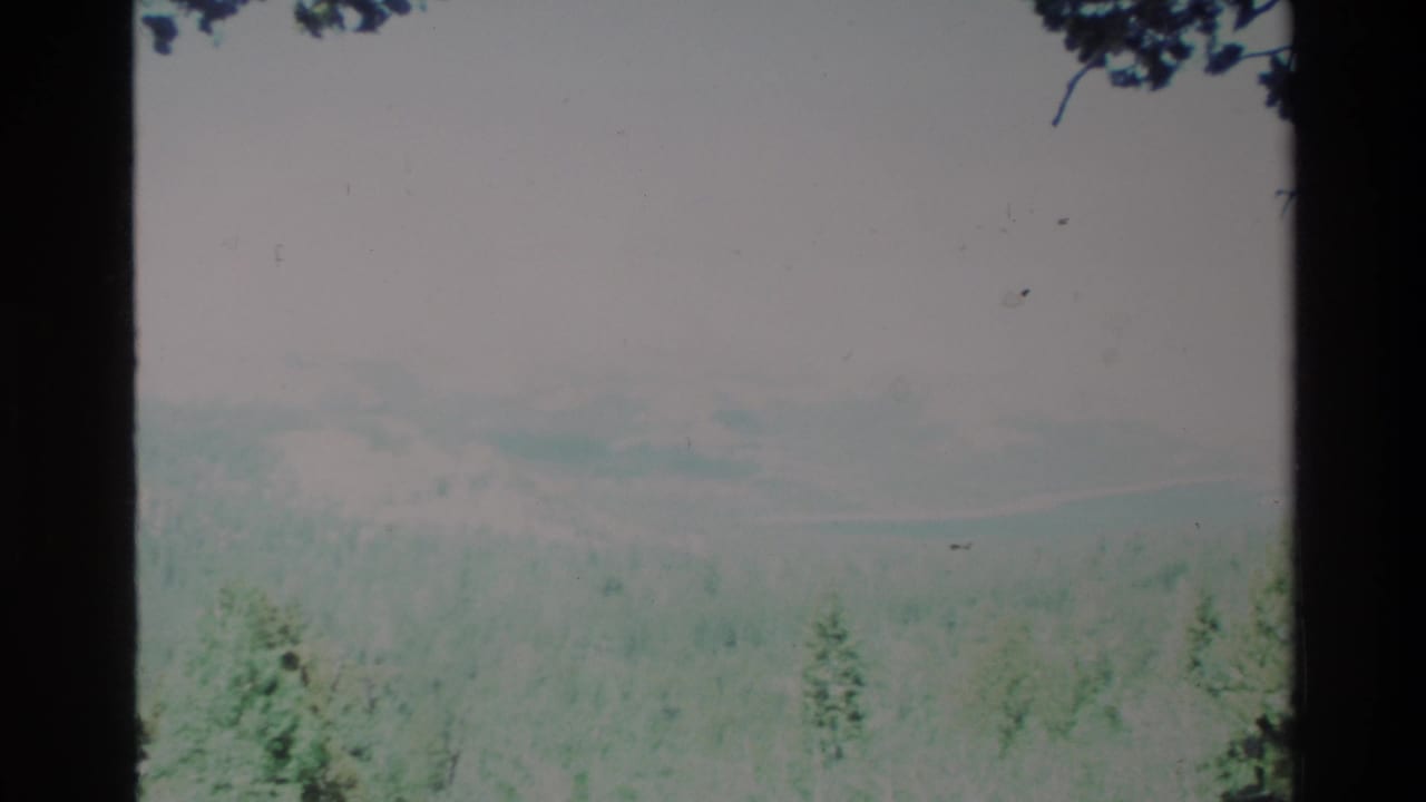 1980 Big Sur home-movie view of hazy green forest and distant mountains seen between dark foreground trees.