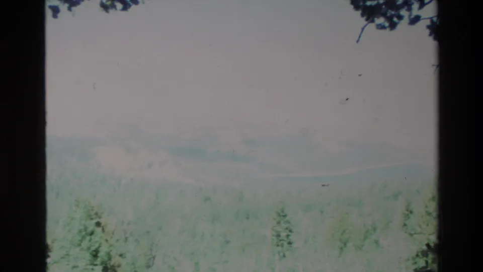 1980 Big Sur home-movie view of hazy green forest and distant mountains seen between dark foreground trees.