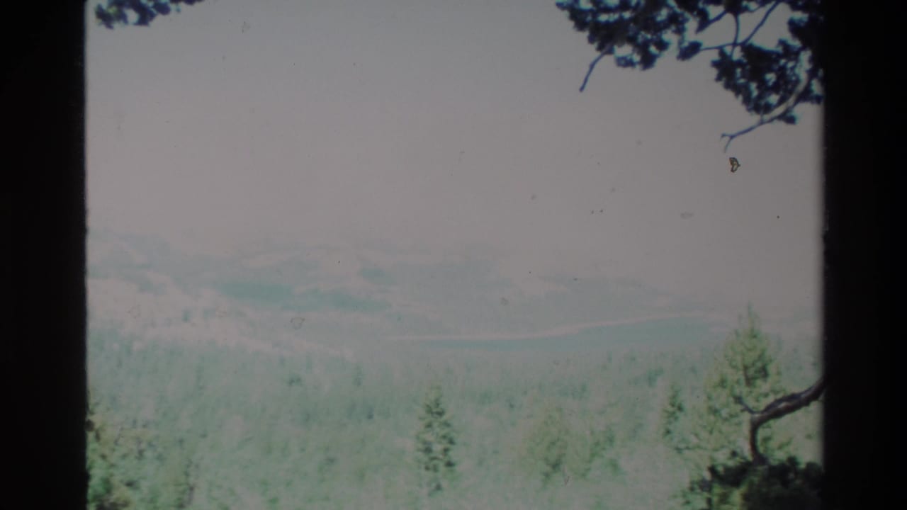 Bright hazy mountain landscape with forest below and branches at the top edge.
