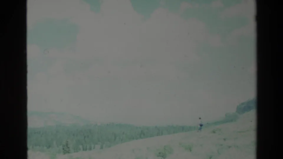 1980 Big Sur valley view with conifer trees, rolling ground, and soft 8mm exposure.