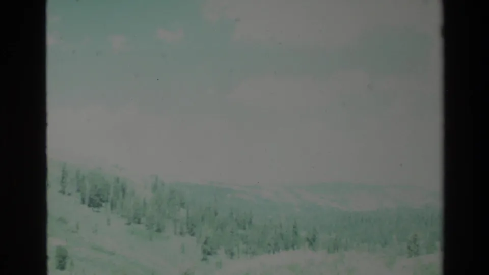 Soft, faded 8mm frame from the supplied 1980 Big Sur clip, showing a pale landscape or hillside before the flower close-ups.