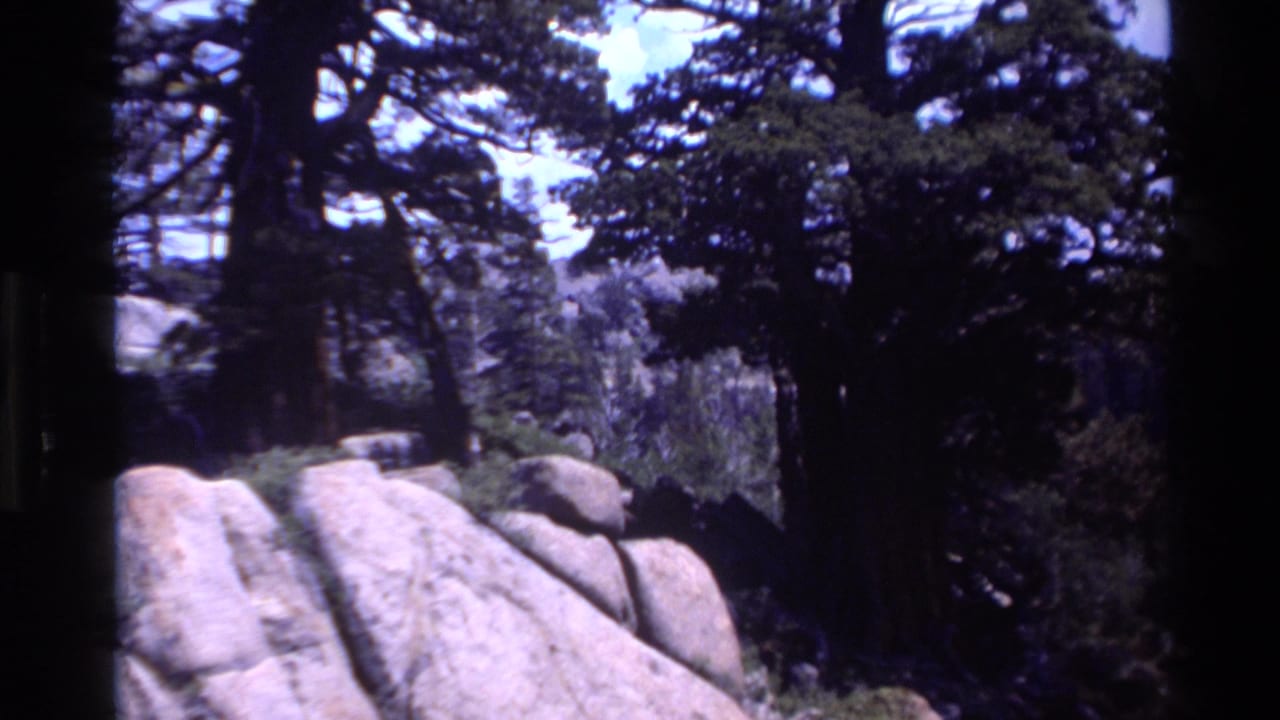 Tall trees and pale boulders under a bright sky, seen through dark film borders.