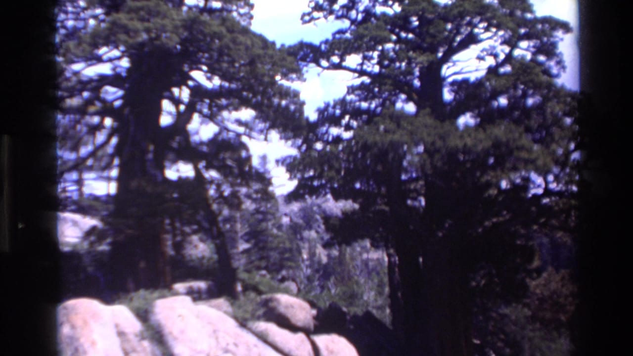 Supported as Big Sur, California, this 1980 8mm frame shows trees, rounded rocks, and brush below a bright sky.