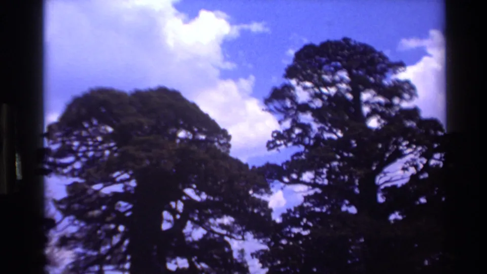 A 1980 Big Sur 8mm frame shows dark treetops silhouetted against blue sky with scattered white clouds.