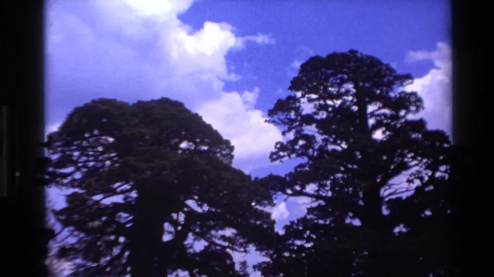 1980 Big Sur 8mm frame with large tree silhouettes seen against blue sky and scattered white clouds.