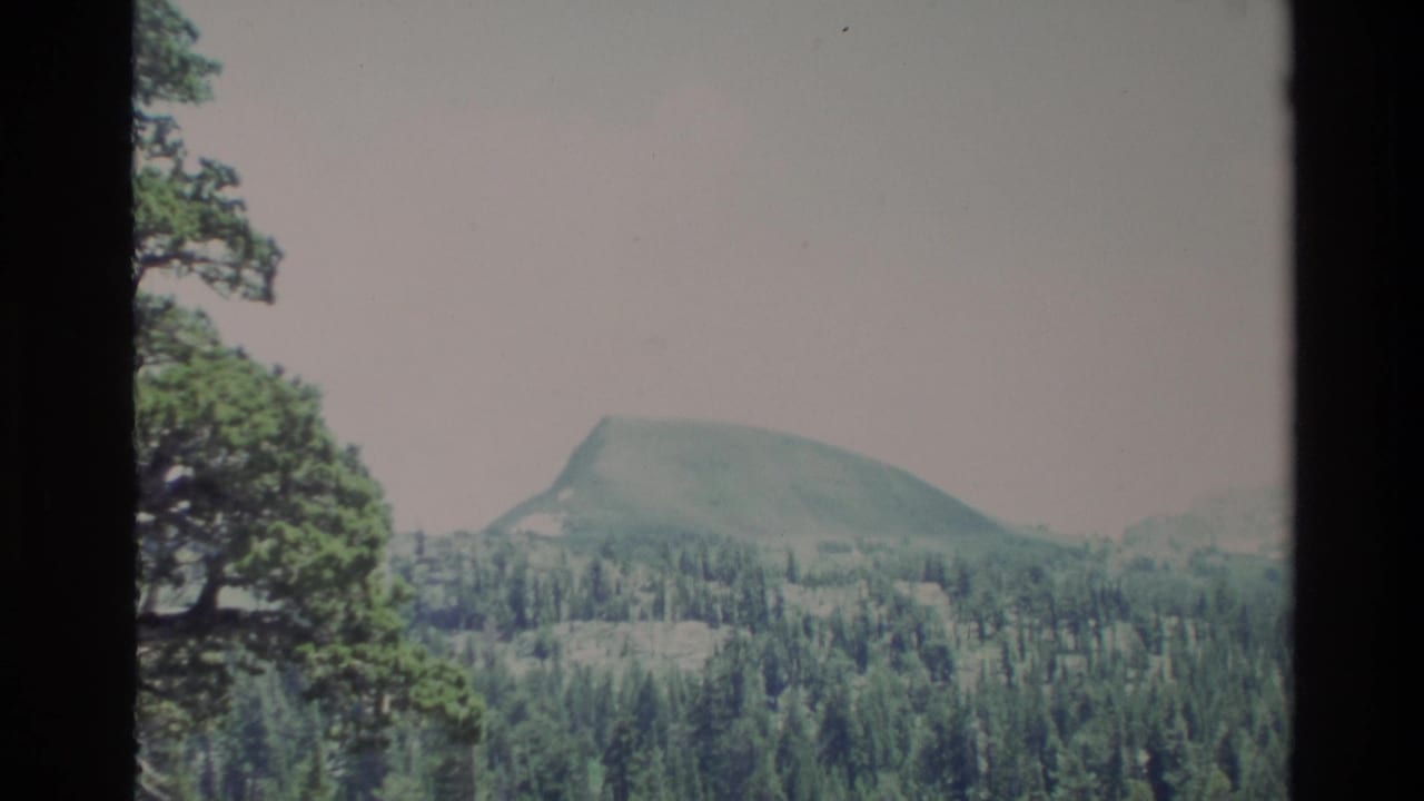 1980 Big Sur landscape frame showing a rounded hill rising beyond dense evergreen forest and dark frame edges.