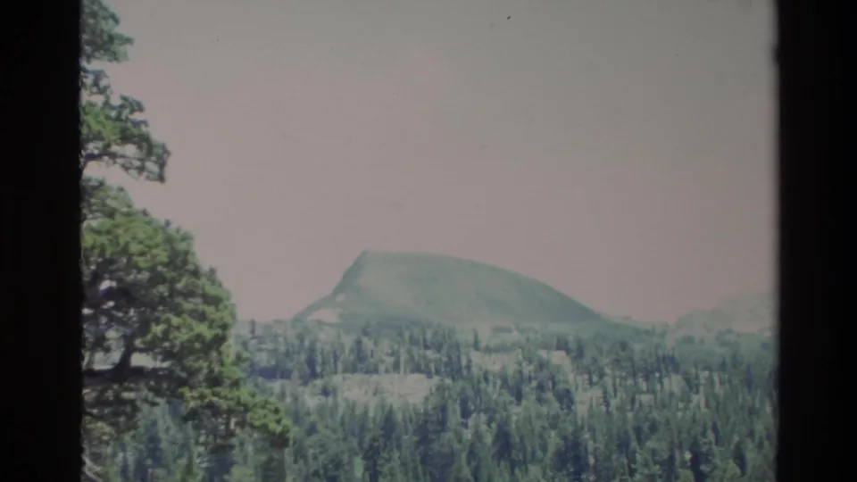 1980 Big Sur landscape frame showing a rounded hill rising beyond dense evergreen forest and dark frame edges.