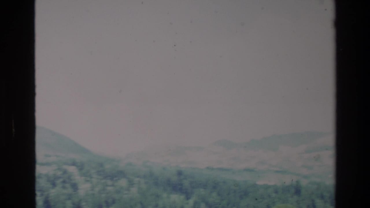 1980 Big Sur 8mm frame showing a pine-covered valley with hazy mountain ridges under a pale sky.