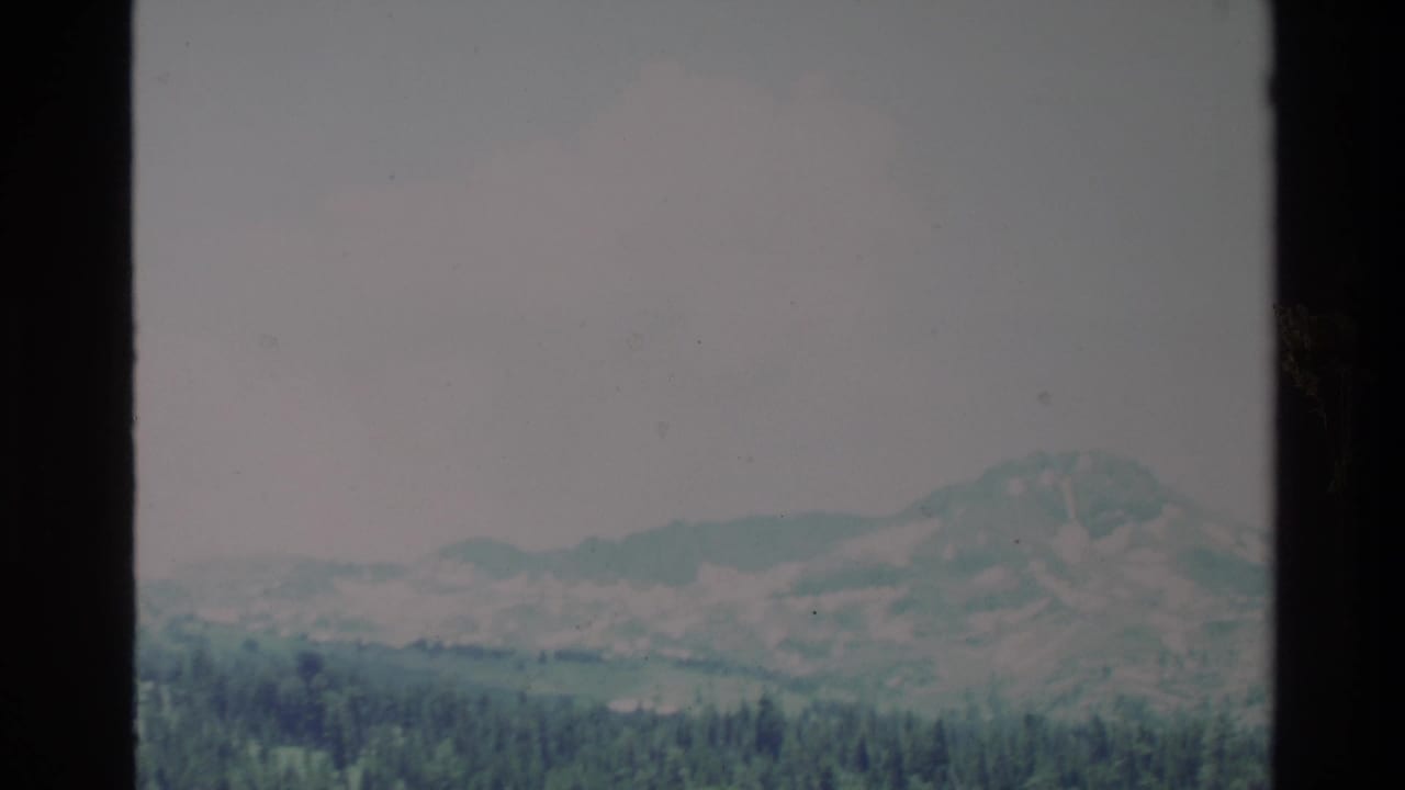 Distant rugged mountain ridge above a dark green pine forest.