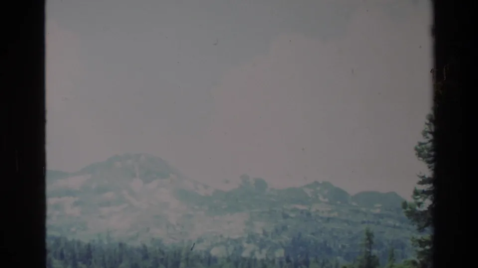 1980 Big Sur 8mm frame showing a mountain ridge, pine-covered valley, and a partial tree silhouette at right.