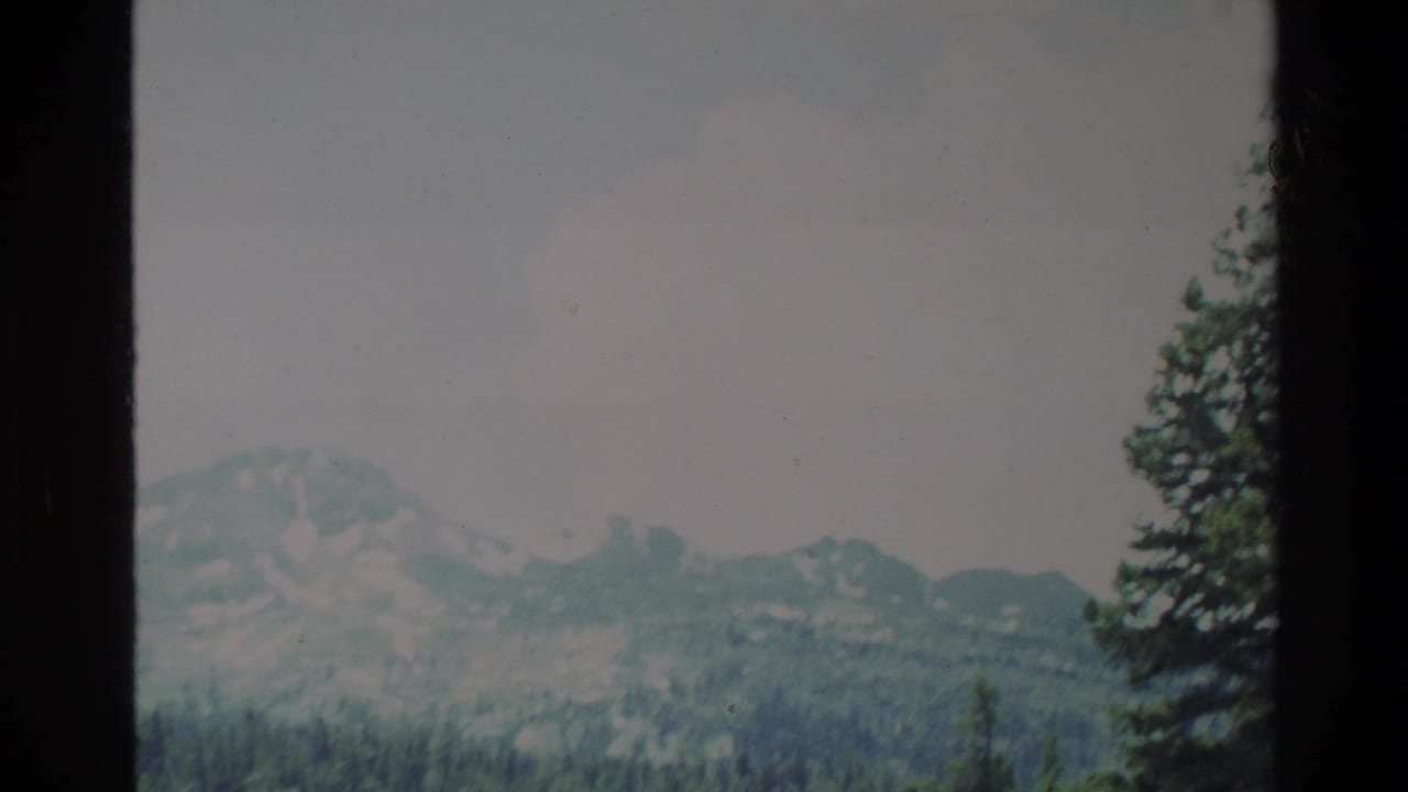 1980 8mm Big Sur landscape view with distant hazy mountains, green slopes, a tall tree and dark frame edges.