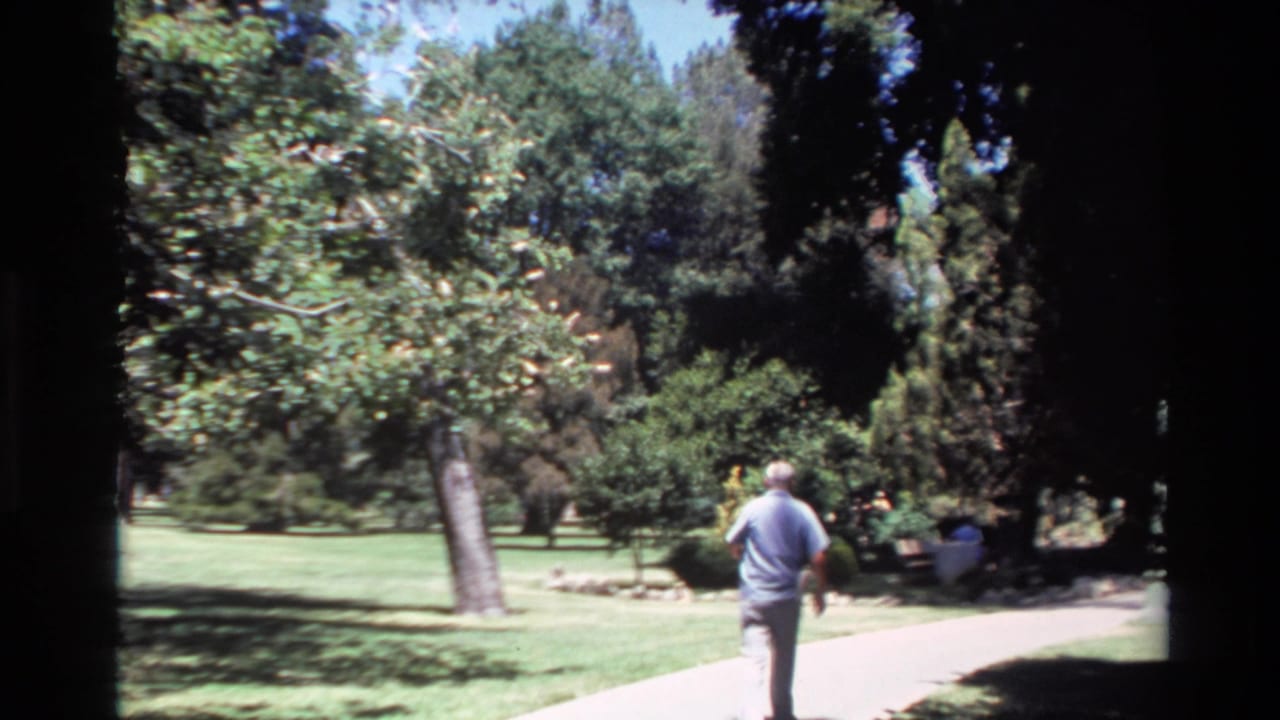 White-haired man walking away on a sunlit park path among trees and lawn.