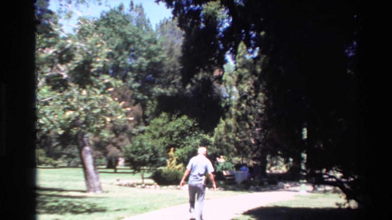 The man continues away from the camera along a bright park walkway, with trees and shrubs casting dark shade around the path.