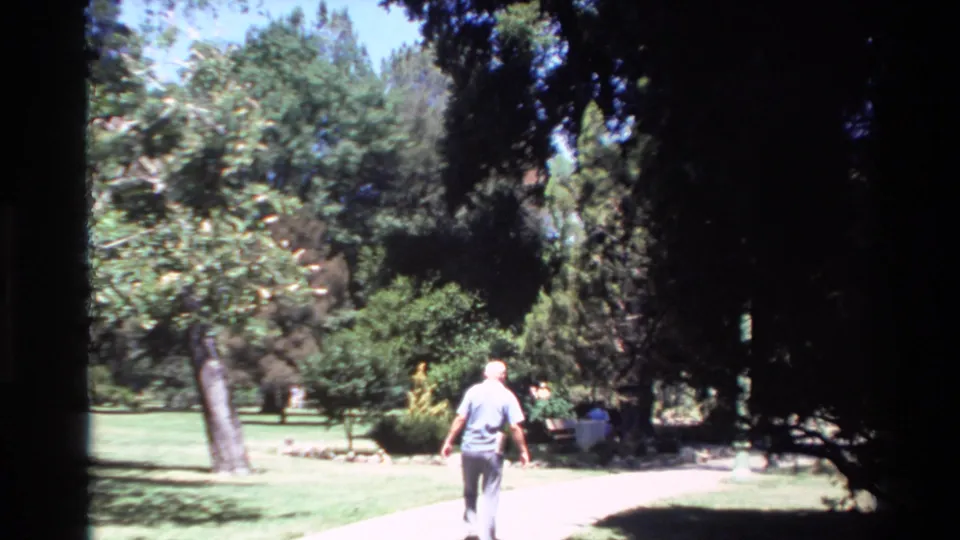 The man continues away from the camera along a bright park walkway, with trees and shrubs casting dark shade around the path.