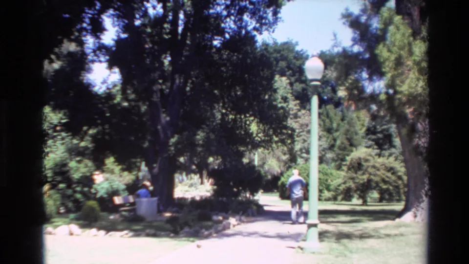 Near the end of the clip, the man walks away beside a green lamppost, with benches, trees, and lawn visible in the park landscape.