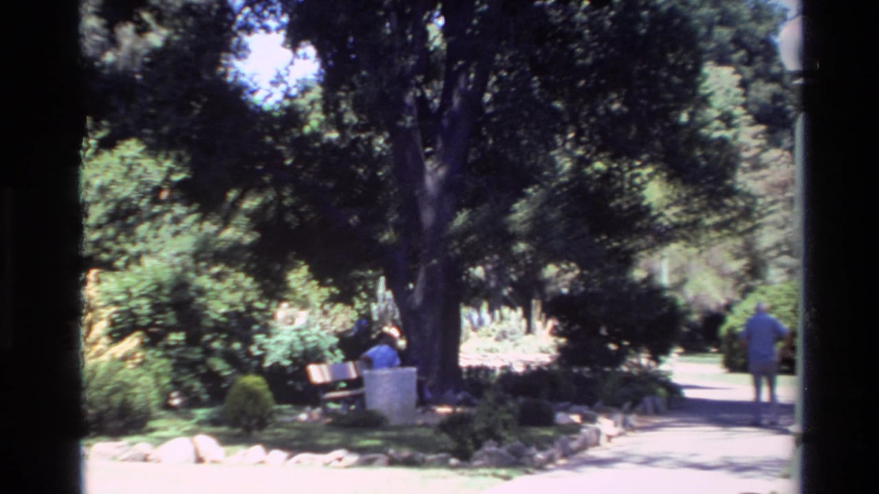 Park path curves past trees and shrubs, with one person seated on a bench and another walking away.
