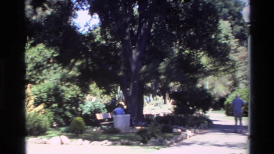Big Sur park scene from 1980 with a seated visitor on a wooden bench beneath trees and a person walking away along the path.