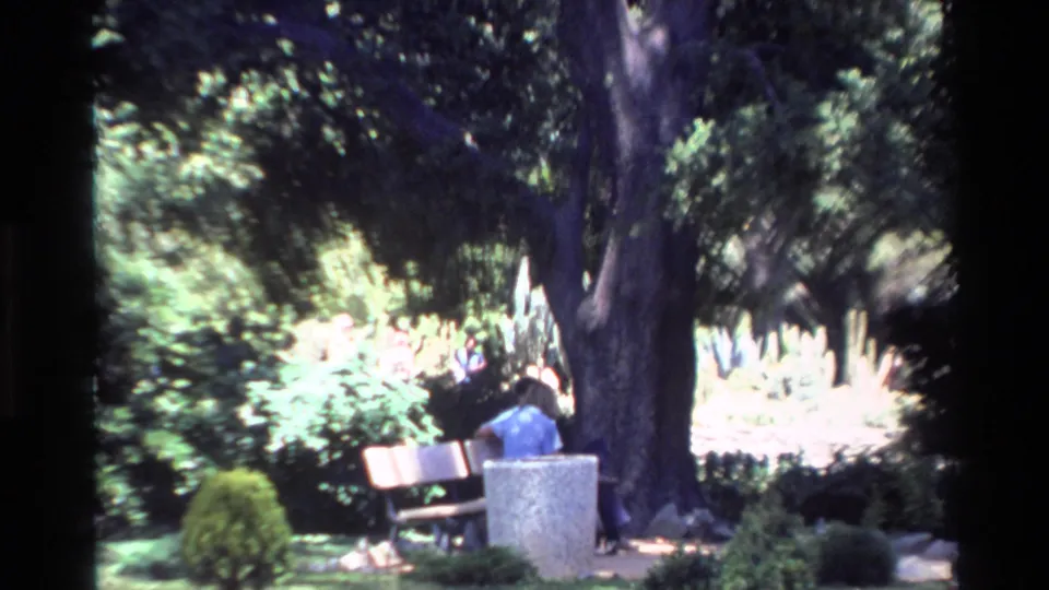 Closer 1980 Big Sur home-movie view of a seated person on a bench near a large tree, with bright shrubs and garden planting behind.