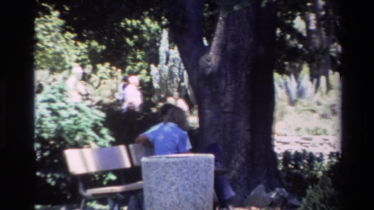 1980 Big Sur home-movie frame showing a seated visitor on a bench beneath large trees with plantings and distant visitors behind.