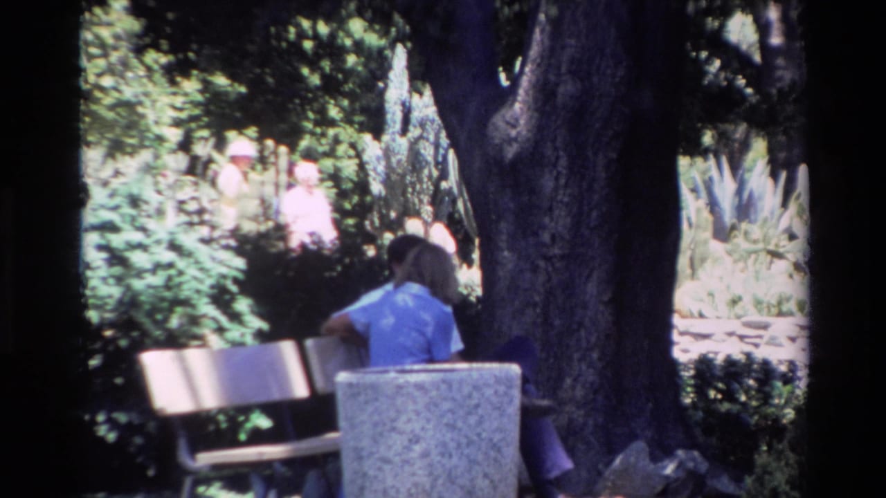 Seated person on a bench near a large tree, with people and plants in the background.