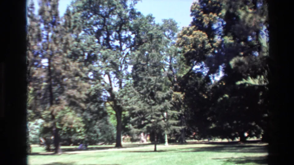1980 Big Sur frame with sunlit grass, mature trees, dark foliage at right, pale sky, and soft 8mm exposure.