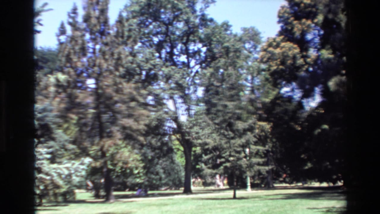 Wide view of a grassy park area bordered by mature trees under bright sky.