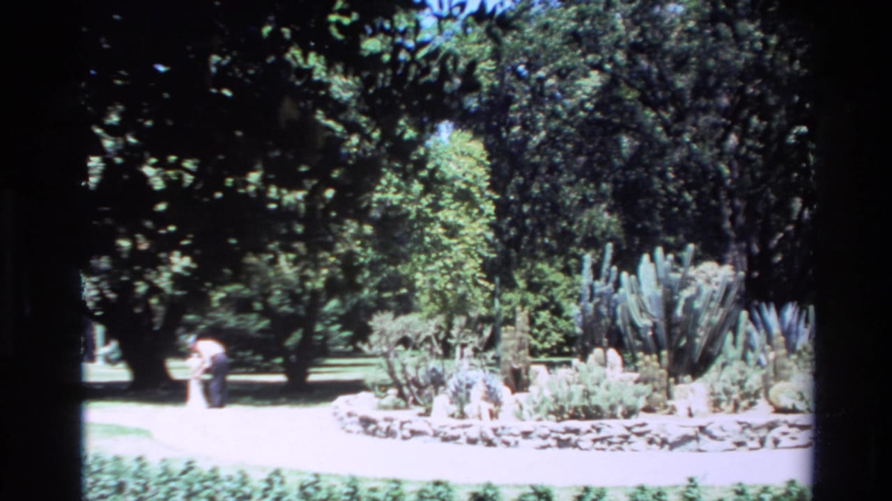 1980 Big Sur home-movie frame showing a cactus garden, dense trees, stone edging, and a distant person on a sunlit path.