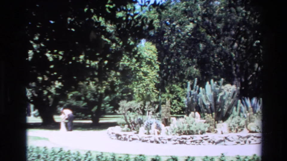 1980 Big Sur home-movie frame showing a cactus garden, dense trees, stone edging, and a distant person on a sunlit path.