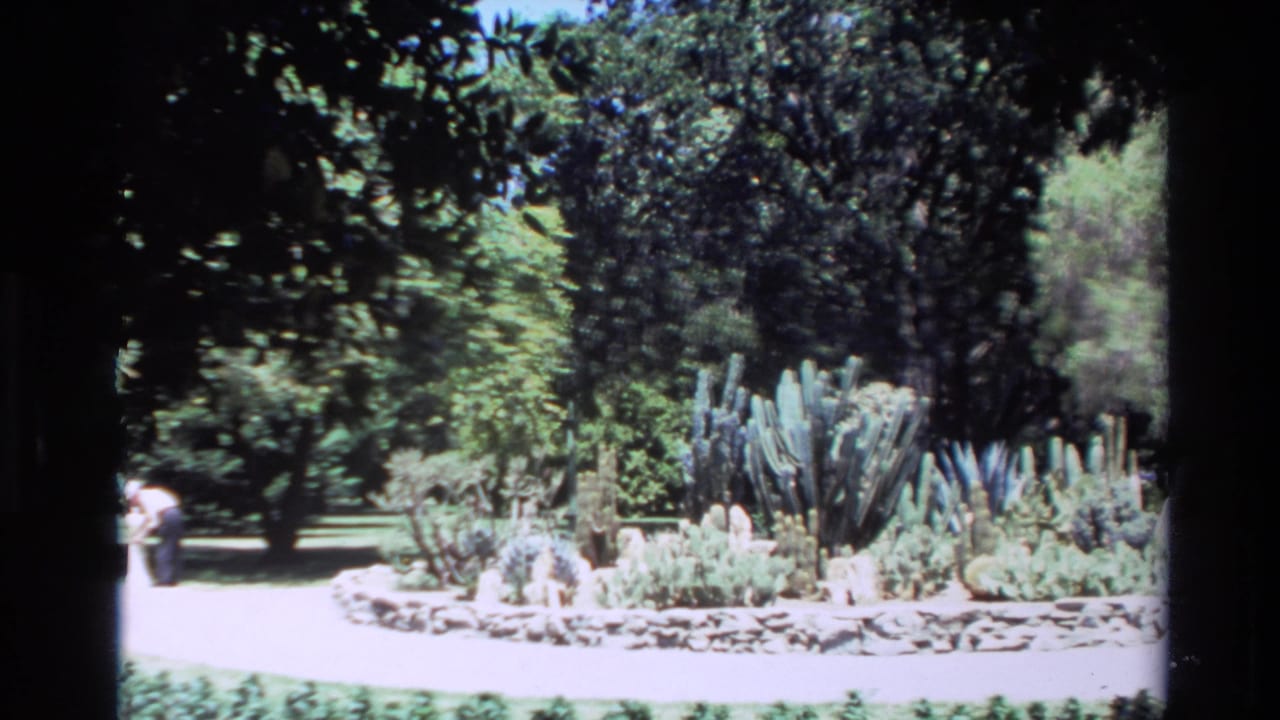 1980 Big Sur frame with tall cacti, succulents, stone edging, tree shade, and a distant walker near the left path.