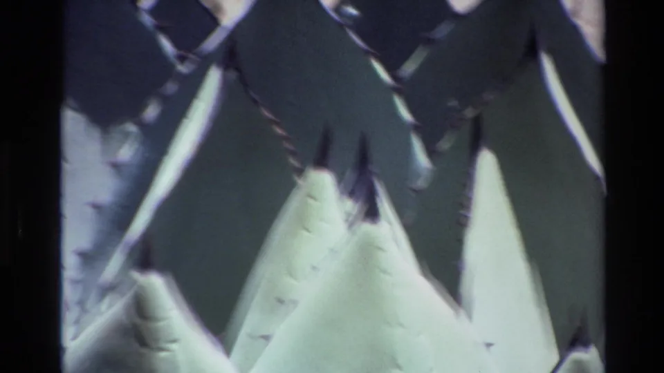 1980 Big Sur 8mm close-up of overlapping agave-like leaves, pale green and dark edged, filmed from very near the plant.