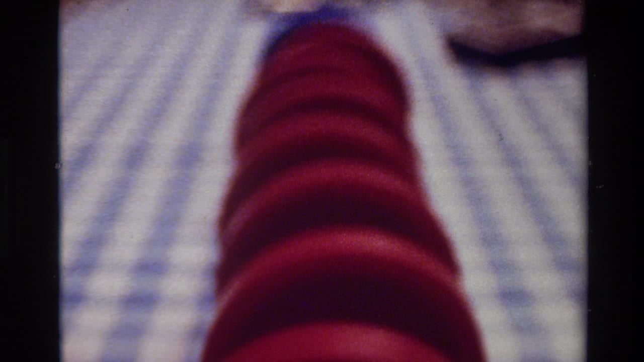 1980 Big Sur 8mm frame showing a soft close view of a red plate on a blue and white checkered tablecloth.