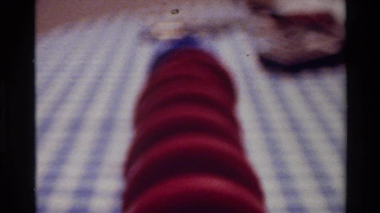 Close 1980 Big Sur home-movie view of a red plate against a blue and white checked tablecloth with soft focus.