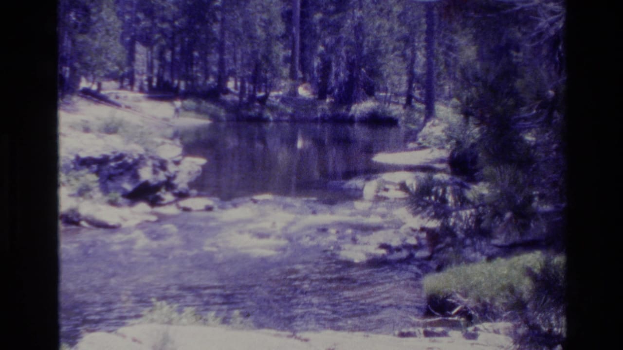 Forest stream flowing past rocks and shaded trees.