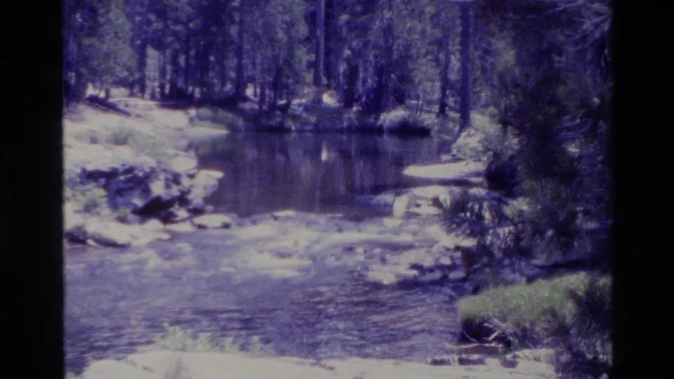 1980 Big Sur 8mm frame of a shallow forest stream with rocks, pine trees, shaded banks, and soft purple-blue film color.
