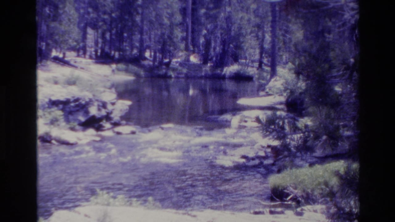 Big Sur forest stream in 1980 home-movie footage, with rippling water, rocks, tree trunks, and bright daylight exposure.