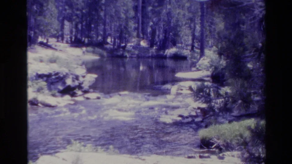 Big Sur forest stream in 1980 home-movie footage, with rippling water, rocks, tree trunks, and bright daylight exposure.