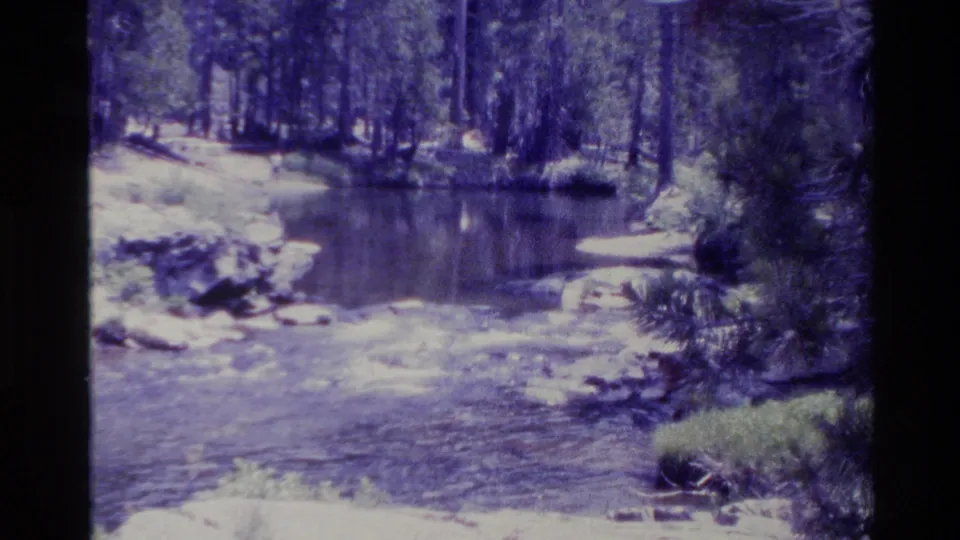 1980 Big Sur 8mm view of a wooded creek, showing rippled water, rocks, pine trees, and a soft aged-film color cast.